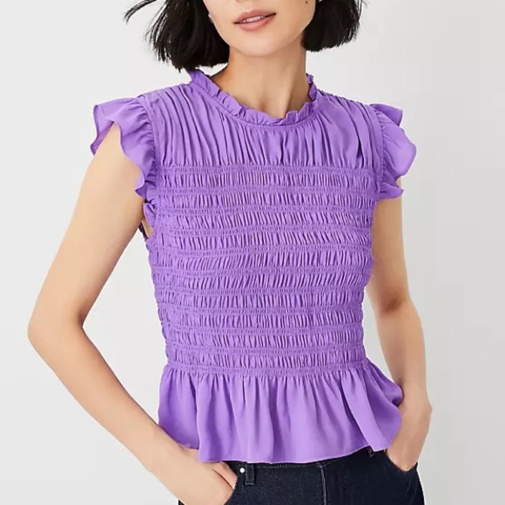 NWT Ann Taylor Smocked Ruffle Top Size S